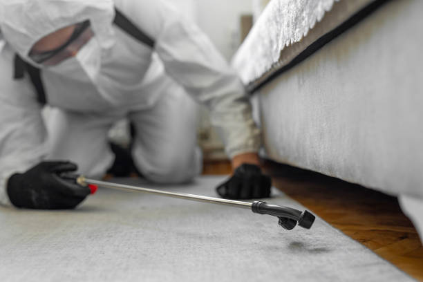 Professional Bed Bug Control technician working in West Lafayette, IN