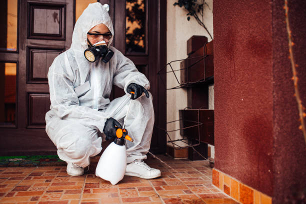 Reliable Bed Bug Control contractor in West Lafayette, IN by Nex Pest Control