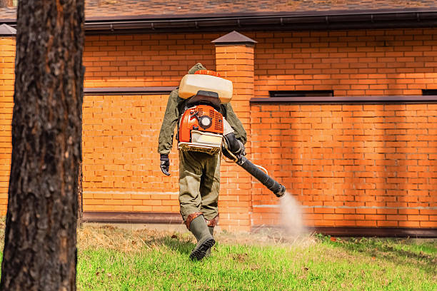 Trusted Mosquito Control service in West Lafayette, IN - Nex Pest Control